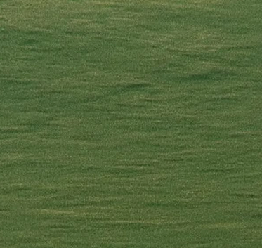 Grass background behind the RILEY color study.